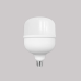 Lámpara  Compacta Alta Potencia  LED 20W 6500K